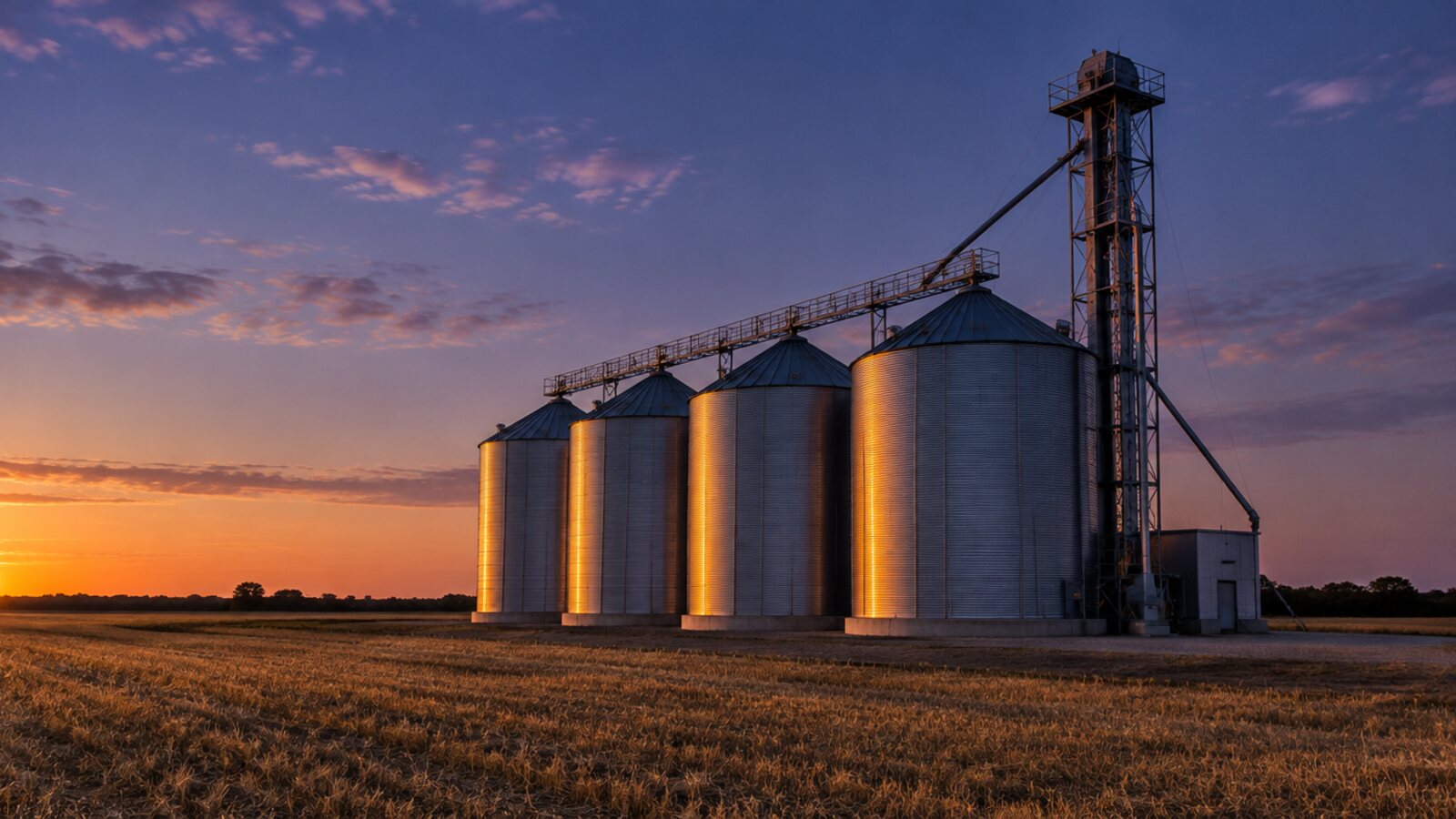 A row of steel grain silos on a farm at dusk